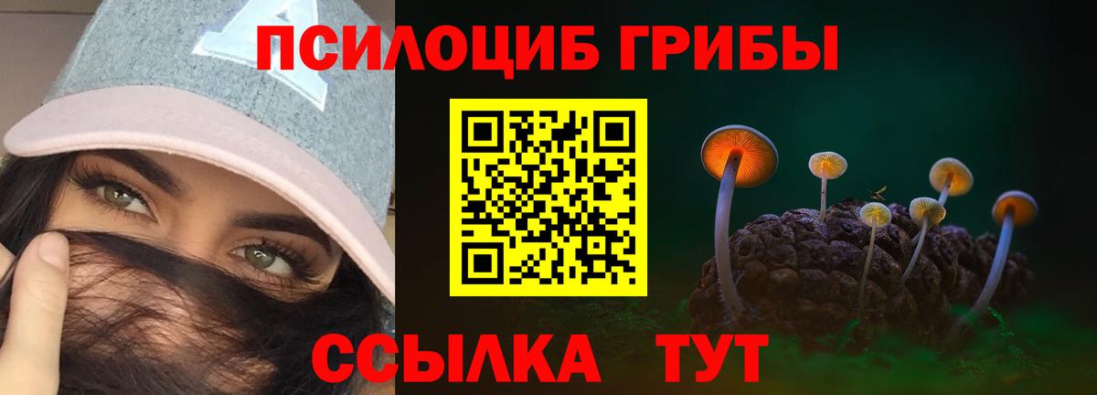 Карабулак  Галлюциногенные грибы GOLDEN TEACHER  Вход с VPN 